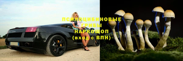 каннабис Осташков