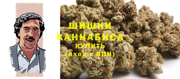 apvp Няндома