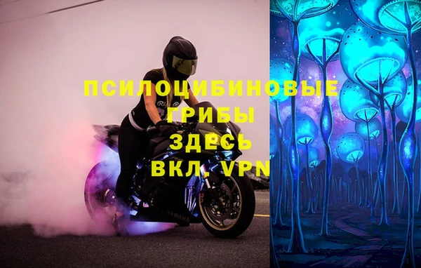 apvp Няндома