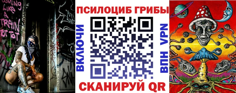 Псилоцибиновые грибы GOLDEN TEACHER  гидра tor  Губаха 