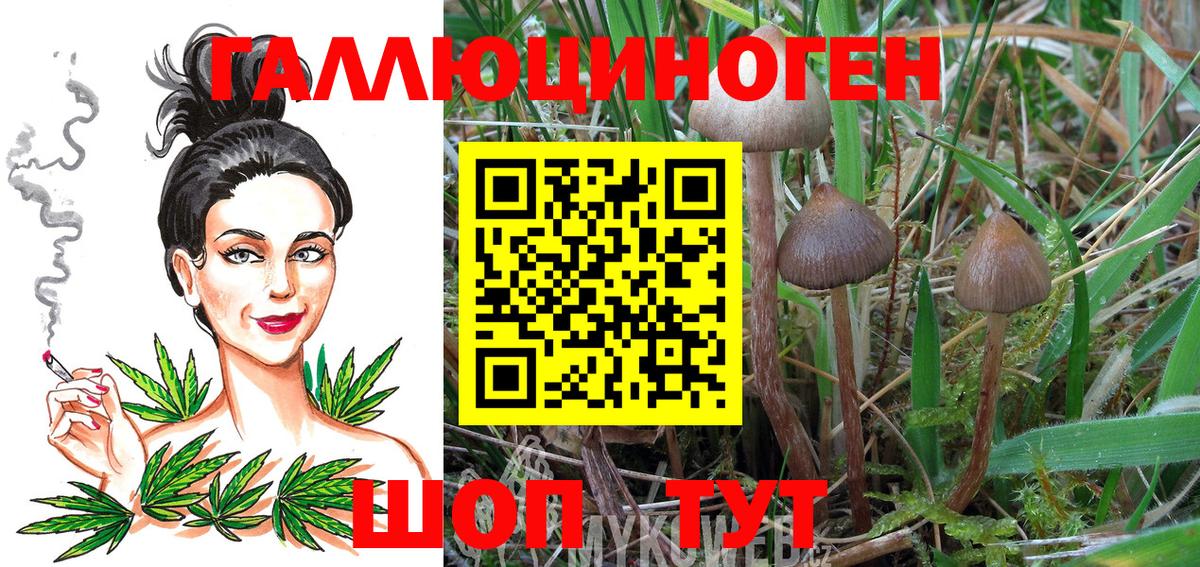 Галлюциногенные грибы мицелий Губаха