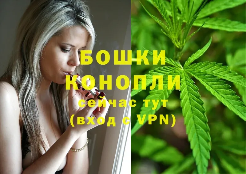 гидра ССЫЛКА  Губаха  Шишки марихуана SATIVA & INDICA 