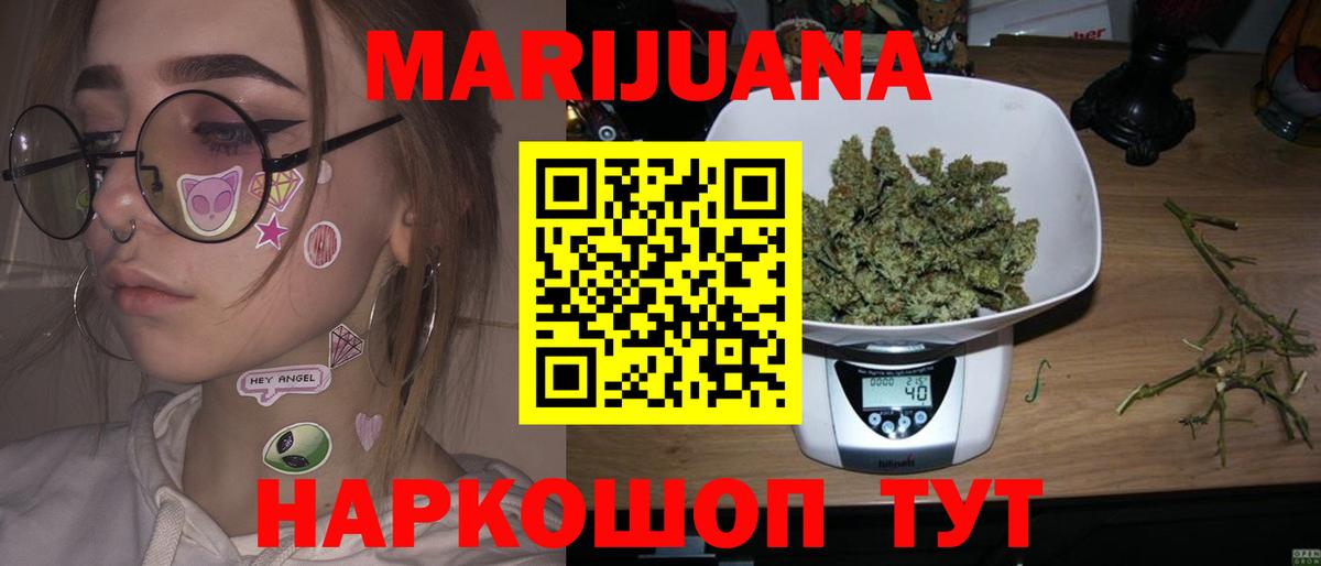 Канабис сатива Губаха