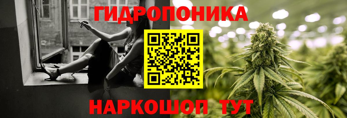 Бошки Шишки Ganja  Губаха  Бошки марихуана THC 21% 